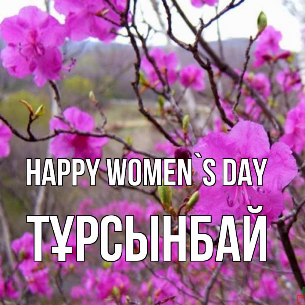 Greetings card с именем, ТҰРСЫНБАЙ happy women`s day международный женский день Greetings with text for free download 